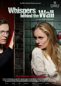 Poster for Die Frau hinter der Wand (2013).