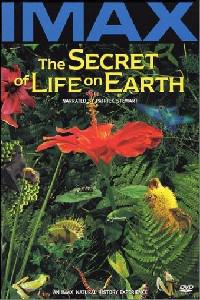 Poster for Secret of Life on Earth, The (1993).