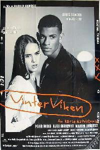 Poster for Vinterviken (1996).