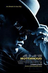 Poster for Notorious (2009).