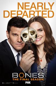 Plakat filma Bones (2005).