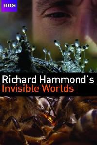 Poster for Richard Hammond's Invisible Worlds (2010).