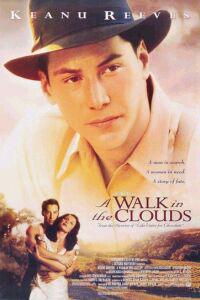 Обложка за A Walk in the Clouds (1995).