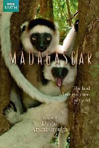 Обложка за Madagascar (2011).