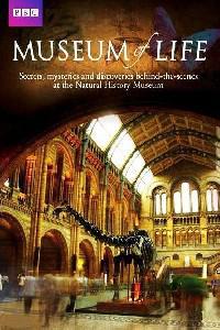 Cartaz para Museum of Life (2010).