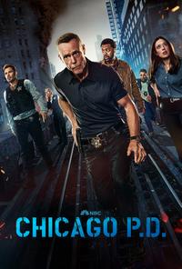 Plakat filma Chicago P.D. (2014).