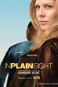 In Plain Sight (2008) Cover.