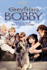 Poster for Greyfriars Bobby: The True Story of a Dog (1961).