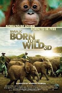 Plakát k filmu Born to Be Wild (2011).
