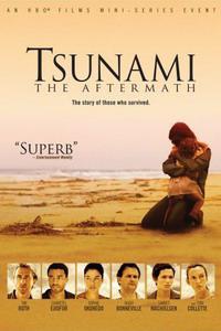 Обложка за Tsunami: The Aftermath (2006).
