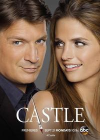 Poster for Castle (2009).