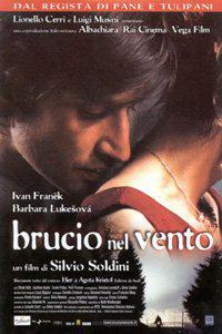 Poster for Brucio nel vento (2002).