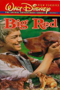 Poster for Big Red (1962).