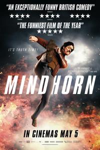 Poster for Mindhorn (2016).