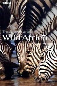Омот за Wild Africa (2001).