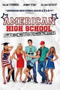 Poster for American High School (2009).