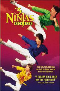 Омот за 3 Ninjas Kick Back (1994).