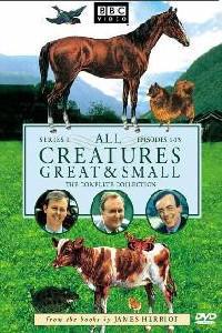 Обложка за All Creatures Great and Small (1978).