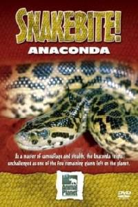 Poster for Snake Bite - Anaconda (2005).