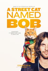 Poster for A Street Cat Named Bob (2016).