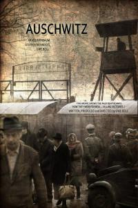 Poster for Auschwitz (2011).