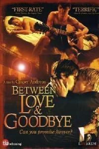 Poster for Between Love & Goodbye (2008).