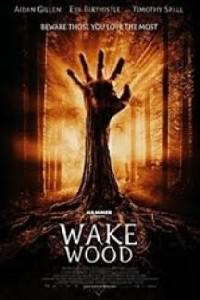 Poster for Wake Wood (2011).
