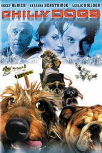 Plakat filma Kevin of the North (2001).
