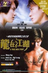 Poster for Long zai jiang hu (1998).
