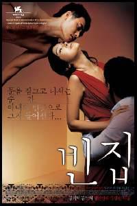 Plakát k filmu Bin-jip (2004).