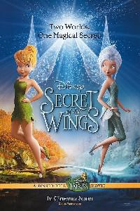 Омот за Tinker Bell: Secret of the Wings (2012).