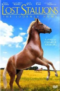 Poster for Lost Stallions: The Journey Home (2008).