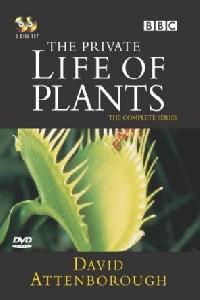 Plakat filma The Private Life of Plants (1995).