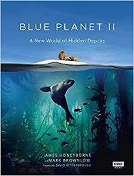 Plakát k filmu Blue Planet II (2017).