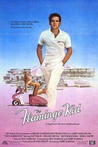 Poster for Flamingo Kid, The (1984).