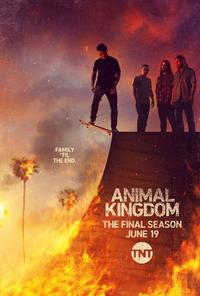 Омот за Animal Kingdom (2016).