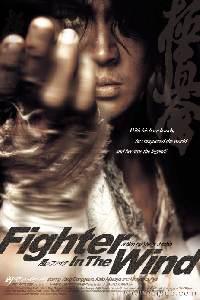 Plakát k filmu Baramui Fighter (2004).