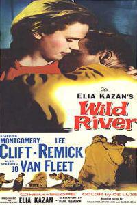 Poster for Wild River (1960).