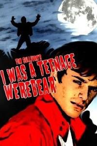 Poster for I Was a Teenage Werebear (2011).