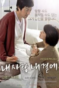 Plakát k filmu Nae sa-rang nae gyeol-ae (2009).