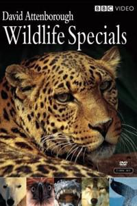 Poster for Wildlife Specials (1997).