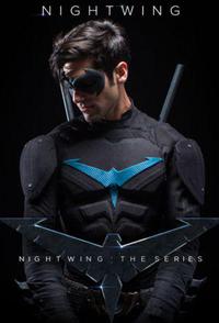 Cartaz para Nightwing: The Series (2014).