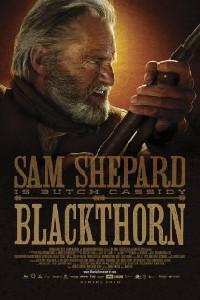 Plakát k filmu Blackthorn (2011).
