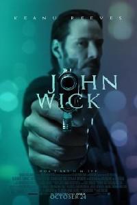 Poster for John Wick (2014).