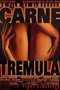 Poster for Carne trémula (1997).
