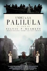 Обложка за Undeva la Palilula (2012).