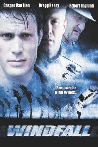 Plakát k filmu Windfall (2001).