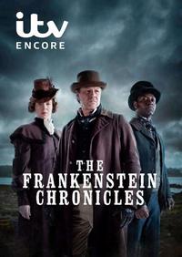 Plakat filma The Frankenstein Chronicles (2015).