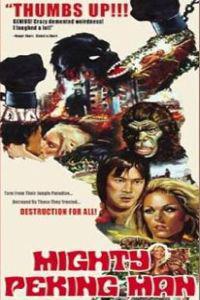 Plakat filma Hsing Hsing wang (1977).