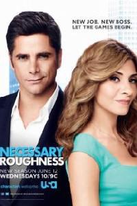 Poster for Necessary Roughness (2011).